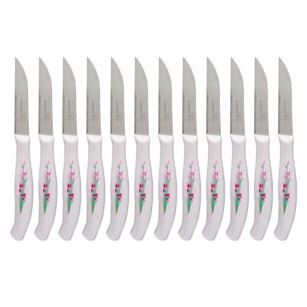 عرضه کننده چاقو زنجان میوه خوری